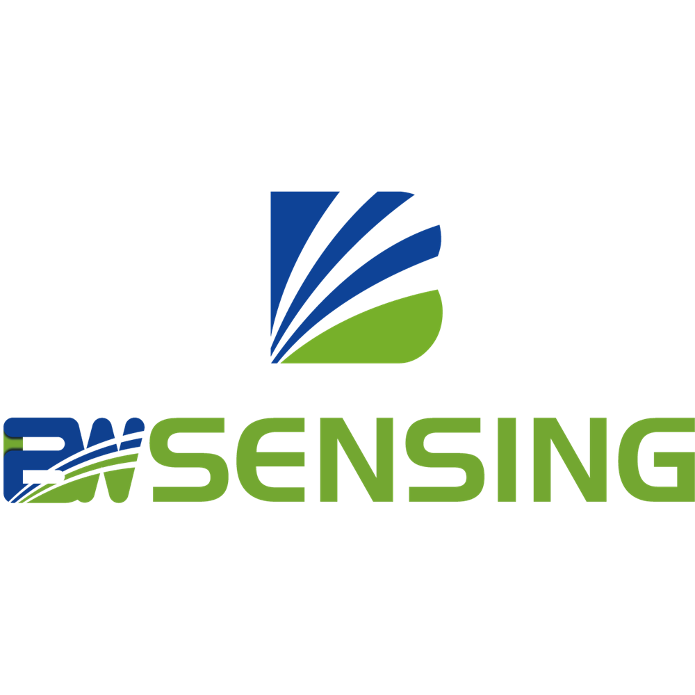 Wuxi Bewis Sensing Technology LLC