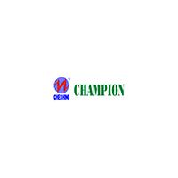 Guangdong Zhicheng Champion Group Co., Ltd.