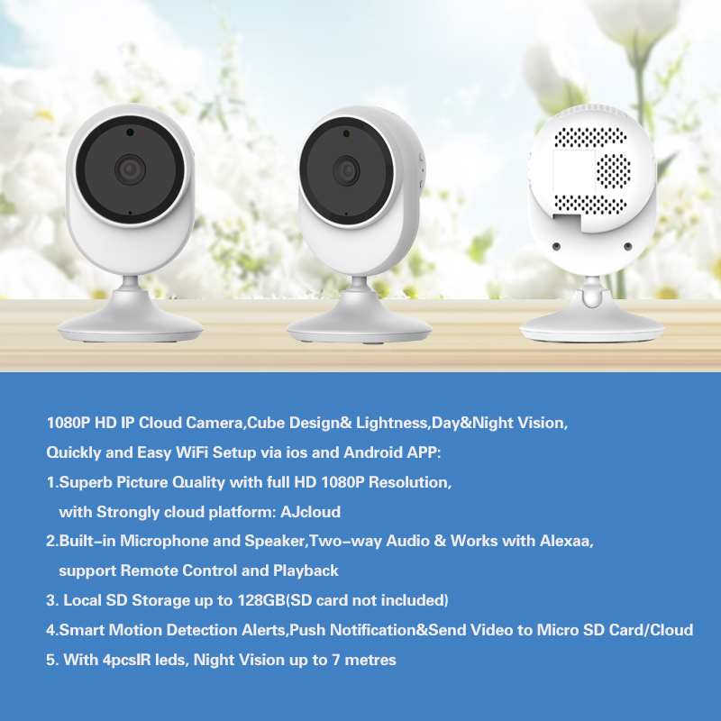 IP Camera