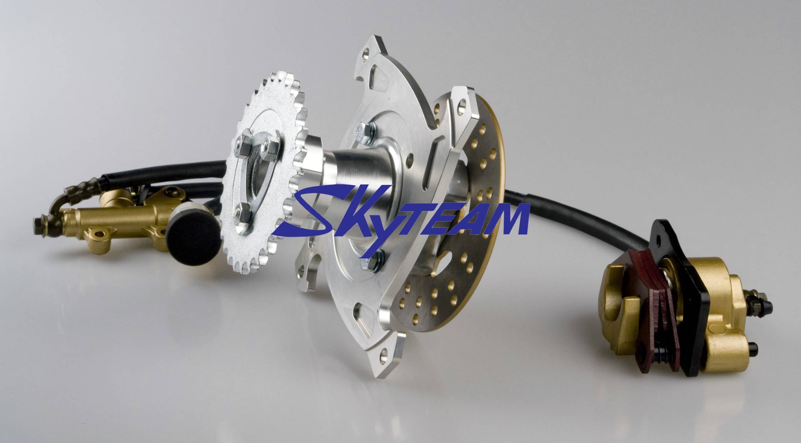 SkyTeam Tuning Parts--CNC Aluminum Rear Disc Brake Assy for Honda SKYTEAM DAX