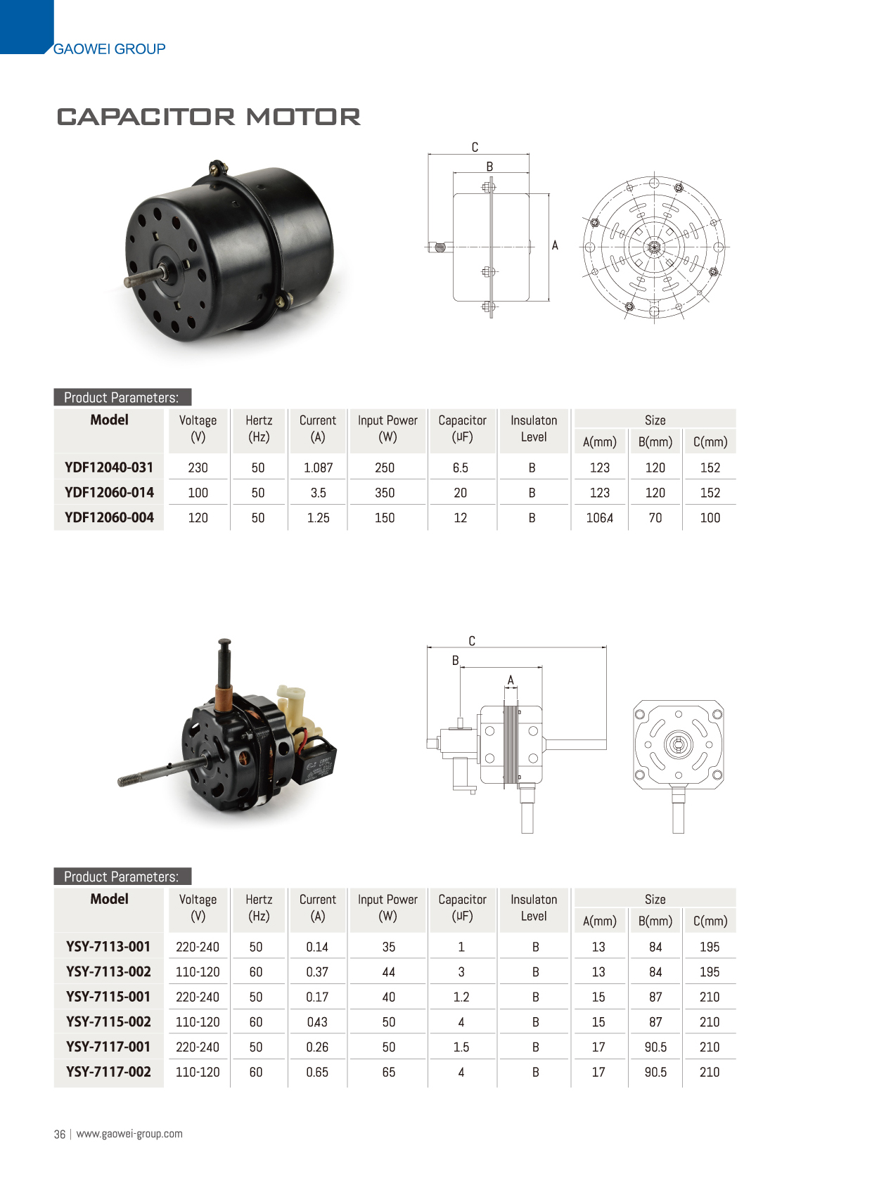 Capacitor Motor