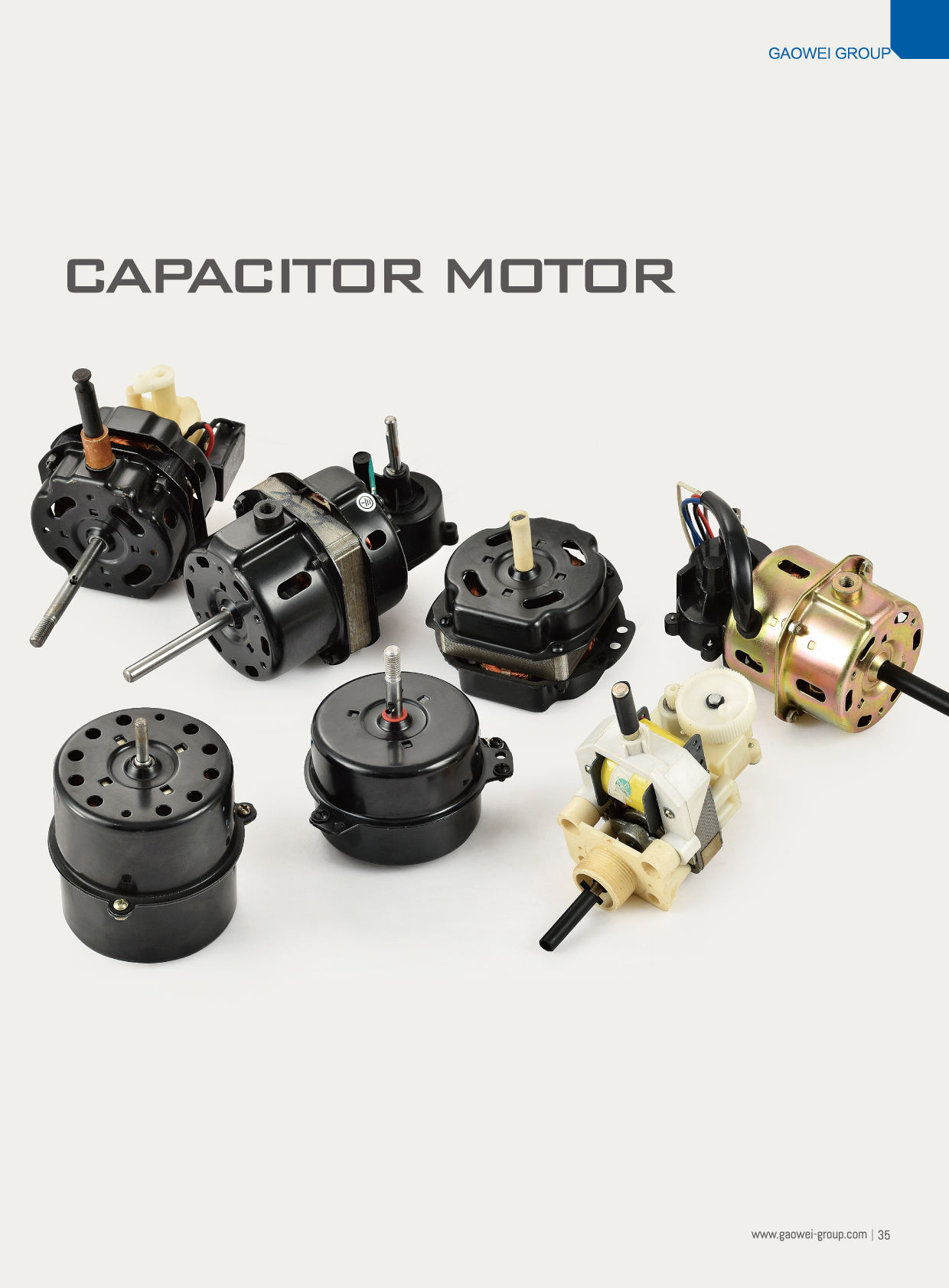 Capacitor Motor