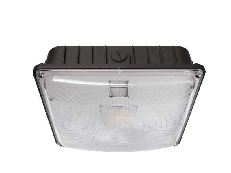 45W and 70W LED DOB Canopy Light