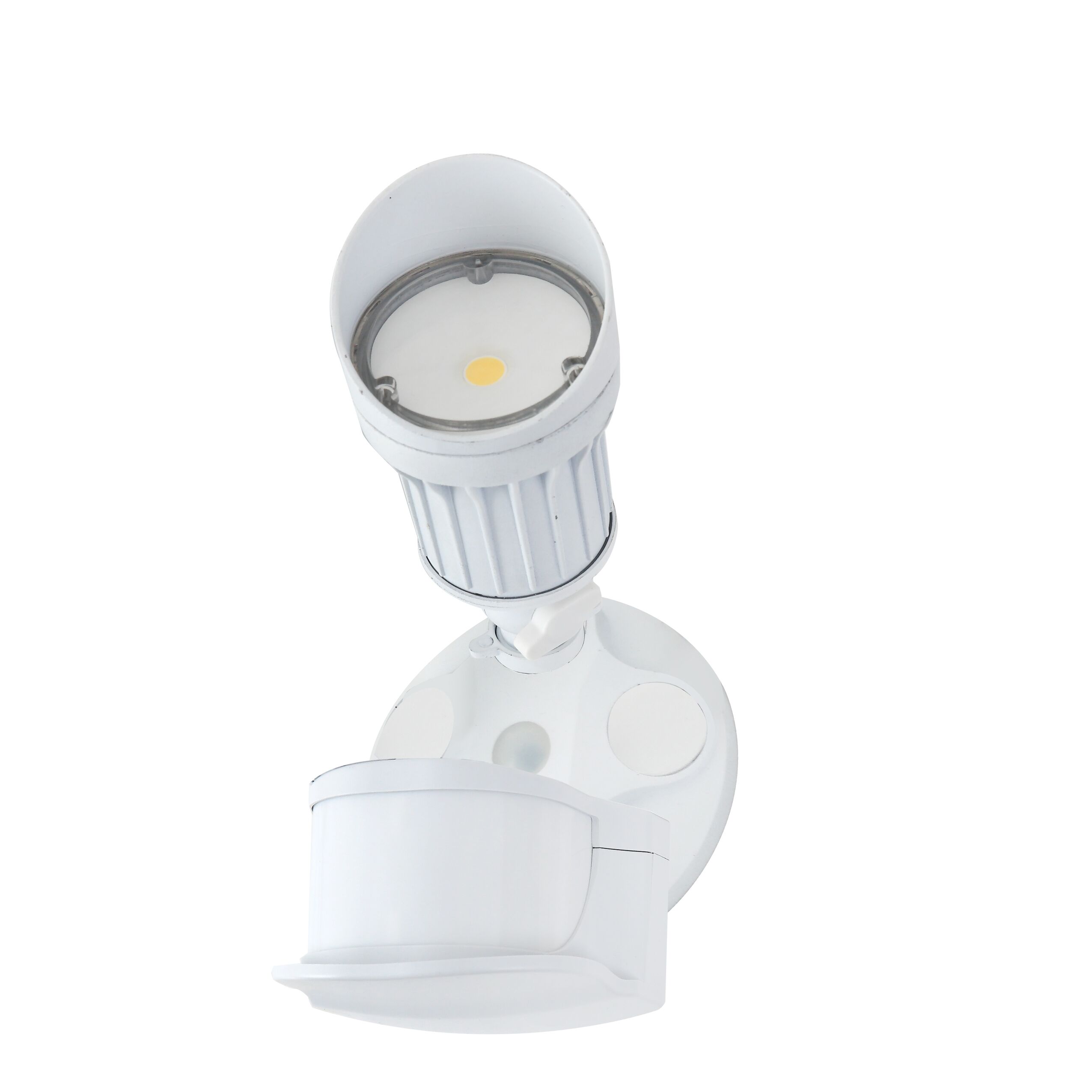 LED security light