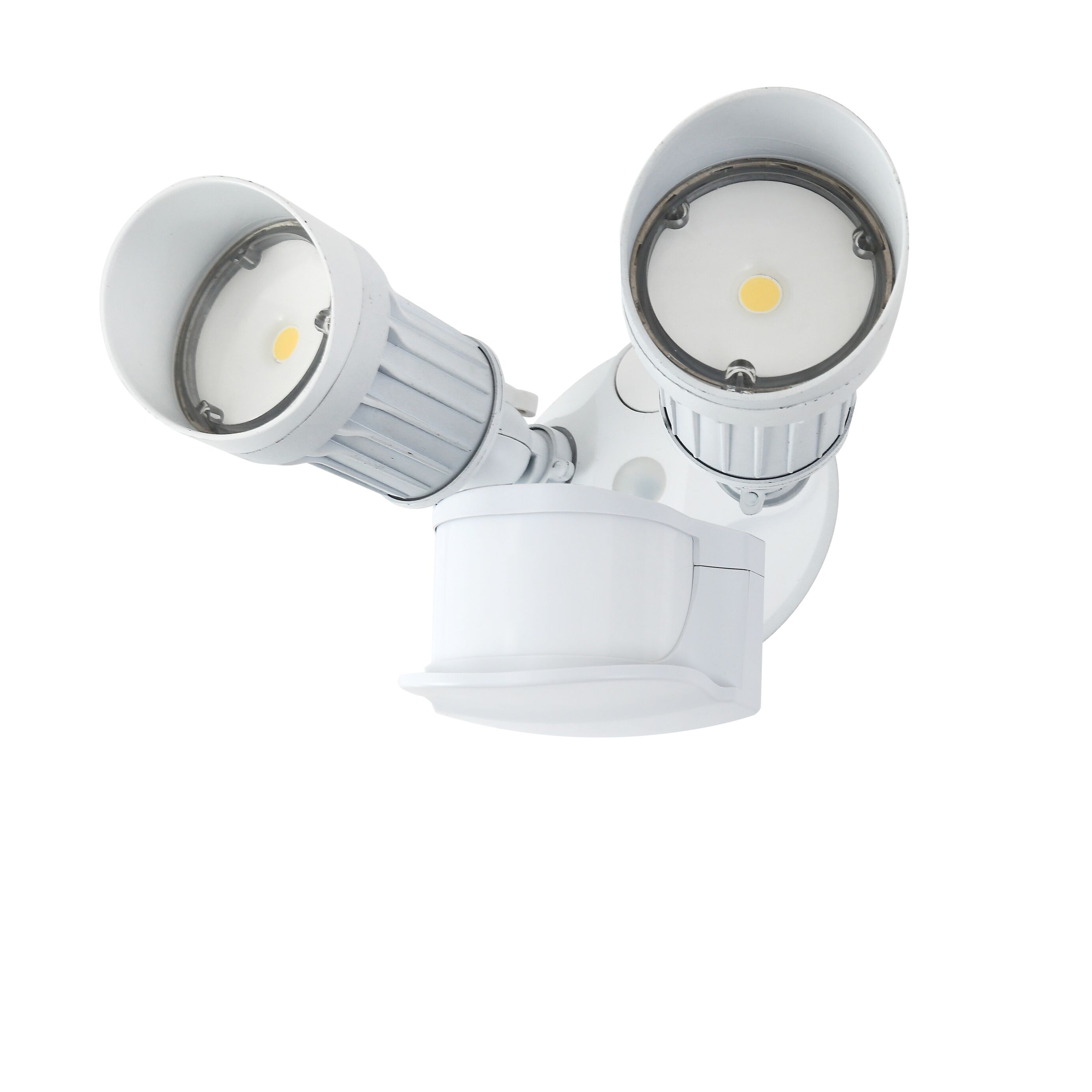 LED security light