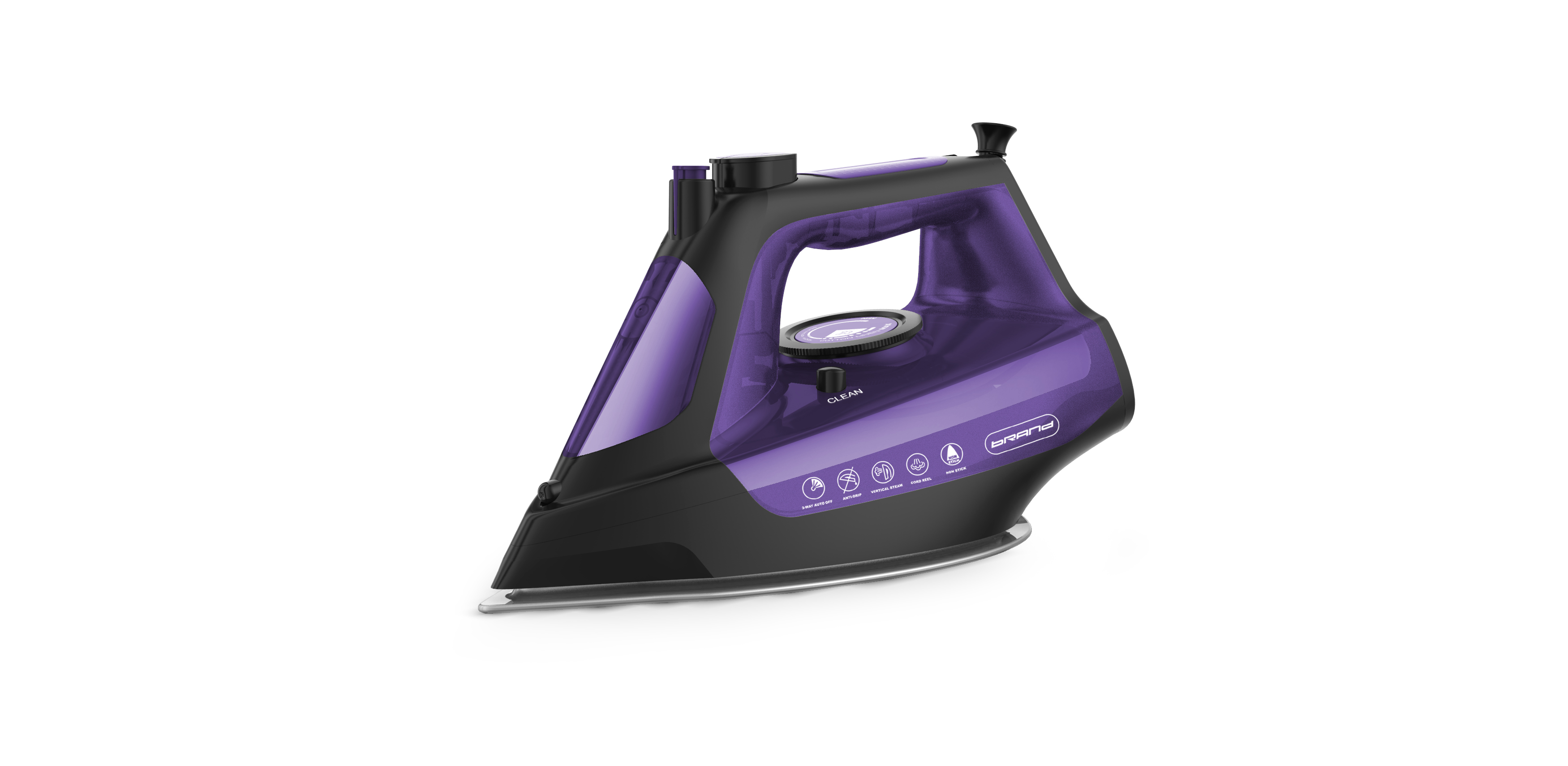 Steam Iron