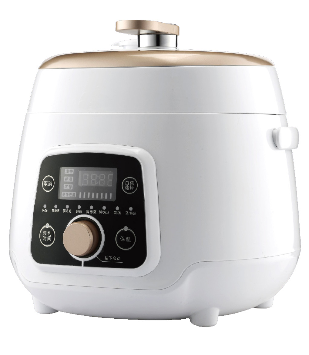 MINI PRESSURE COOKER