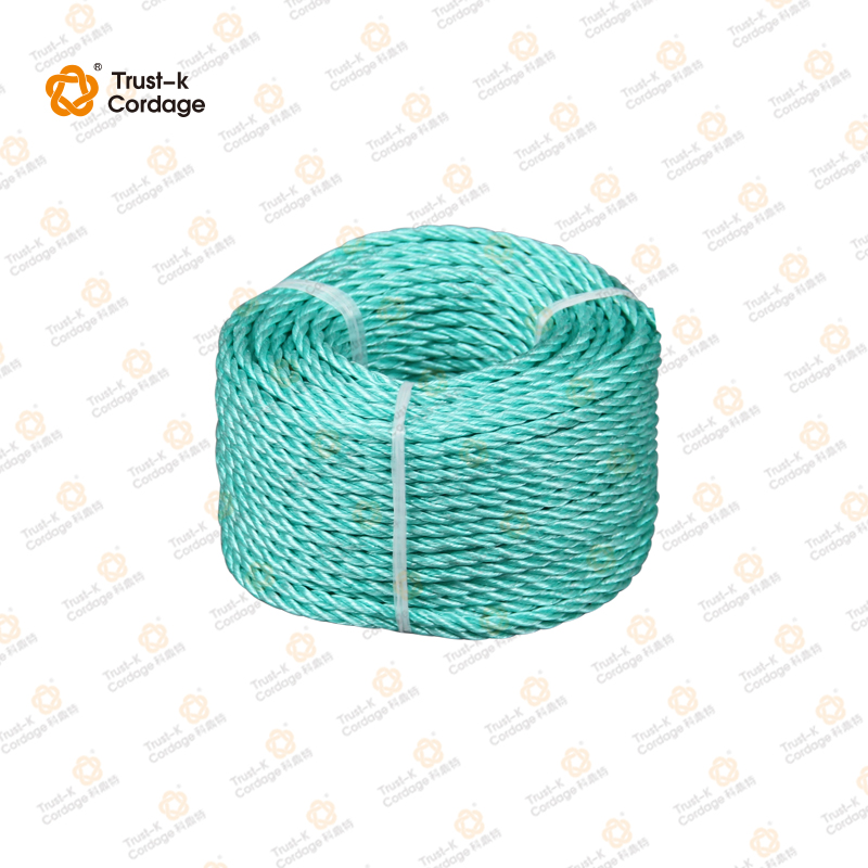 PP Danline 3 Strand Twisted Rope