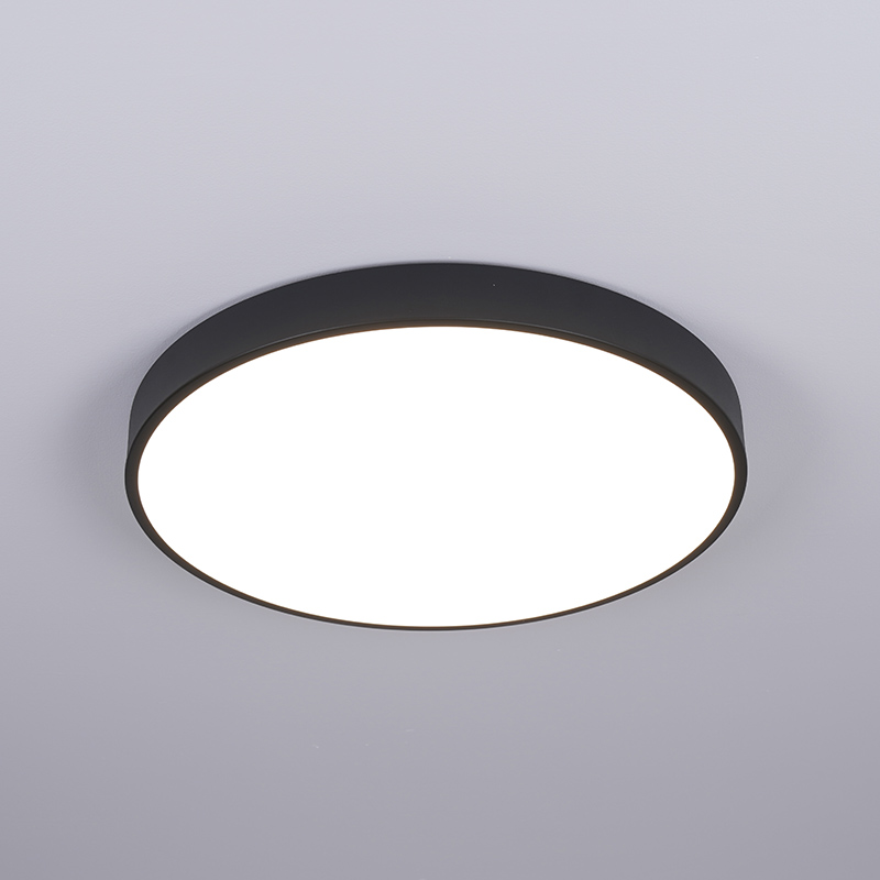 LED Ceiling Light