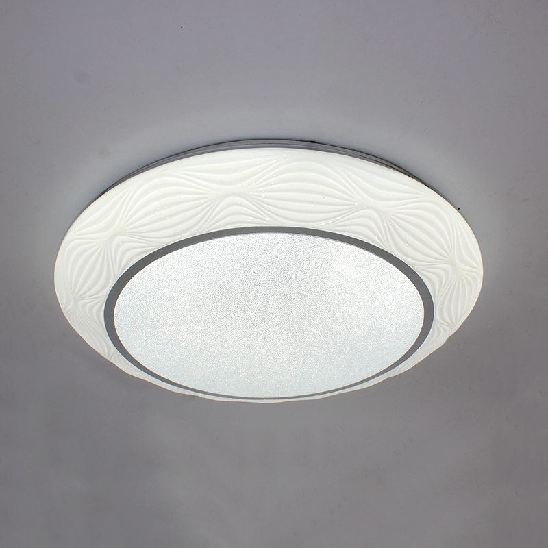 LED Ceiling Light