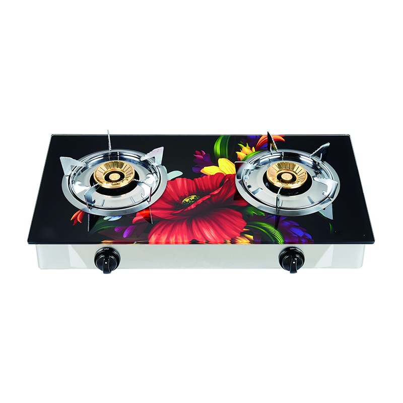 Gas stove