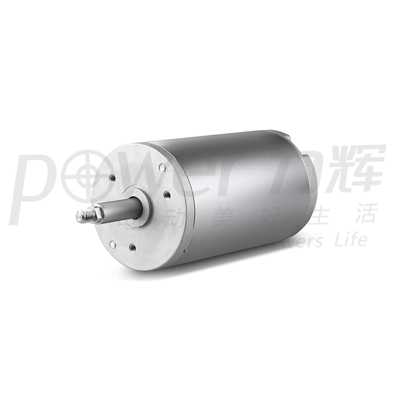 Garbage Disposal DC motor