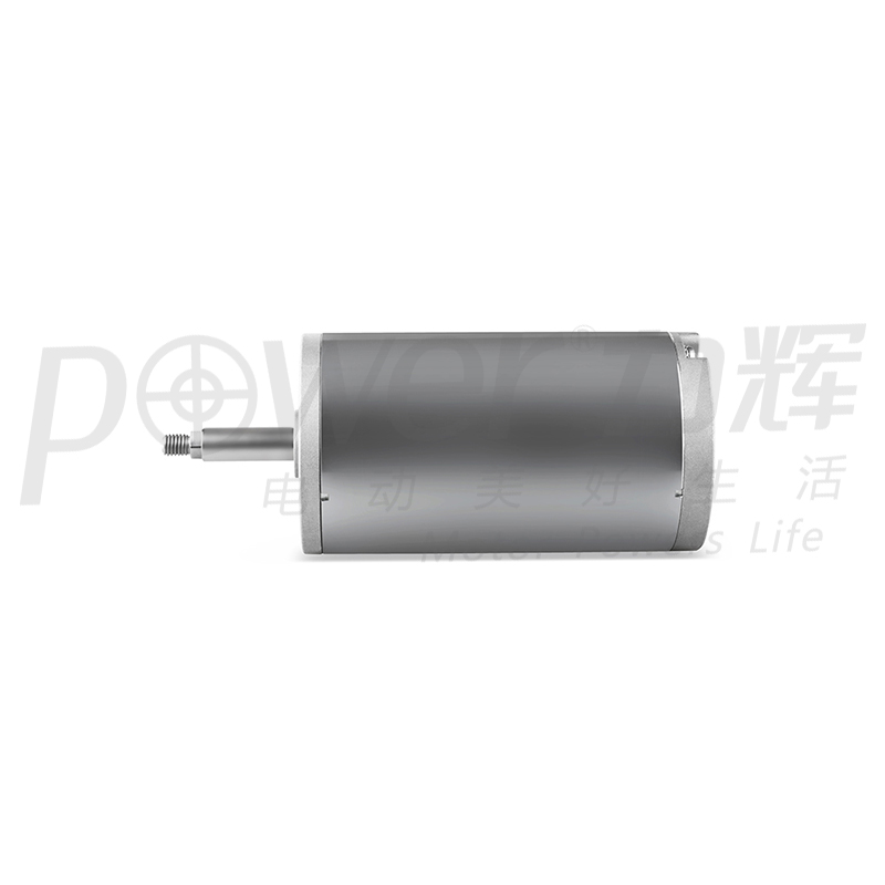 Garbage Disposal DC motor