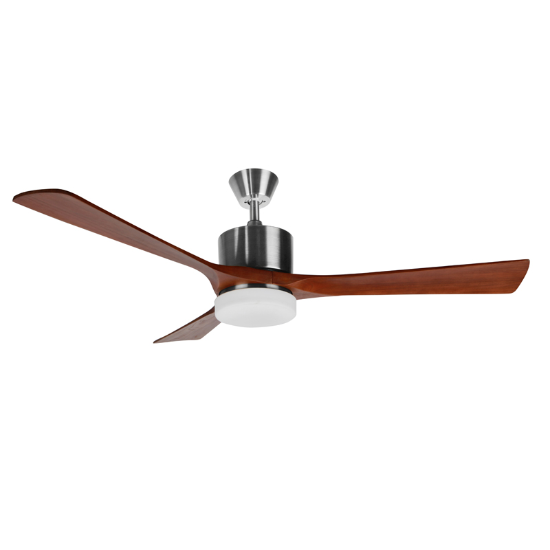 Ceiling fan