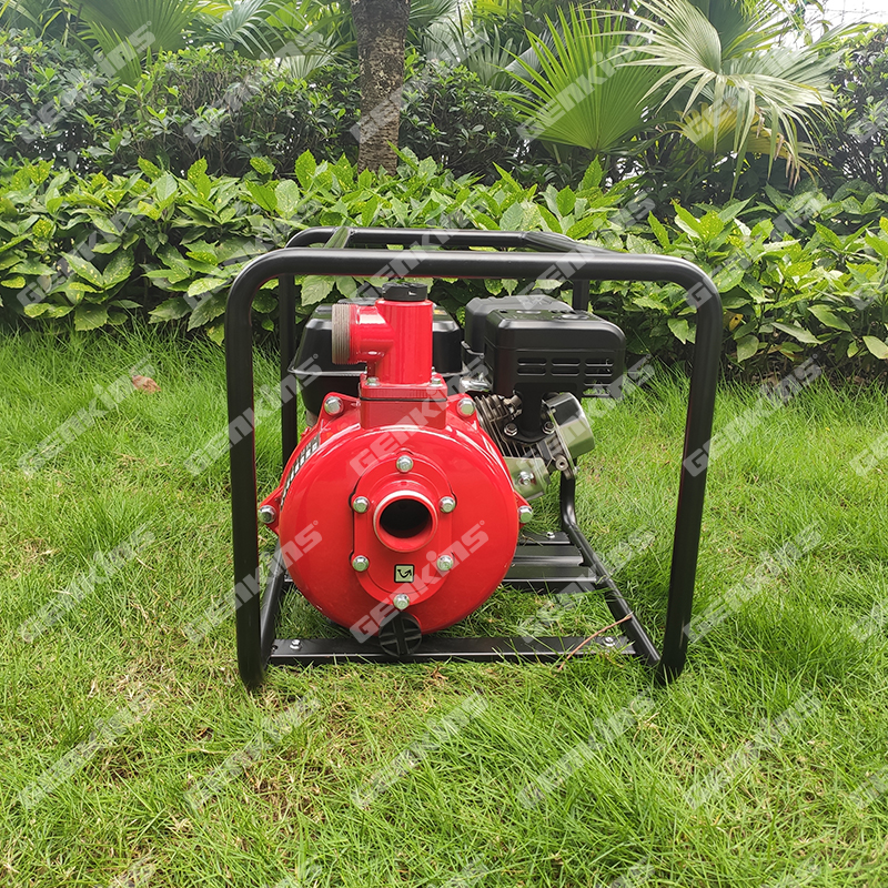 2 Inch Fire Pump Max 16m3/h Discharge