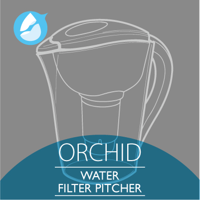 Water filter pitcher with replacement filter inside for kitchen use