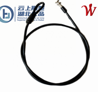 Stainless Steel Wire Rope Assembly with Fittings for Security Lock