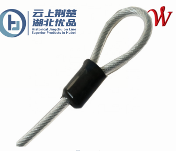 Stainless Steel Wire Rope Assembly with Fittings for Security Lock
