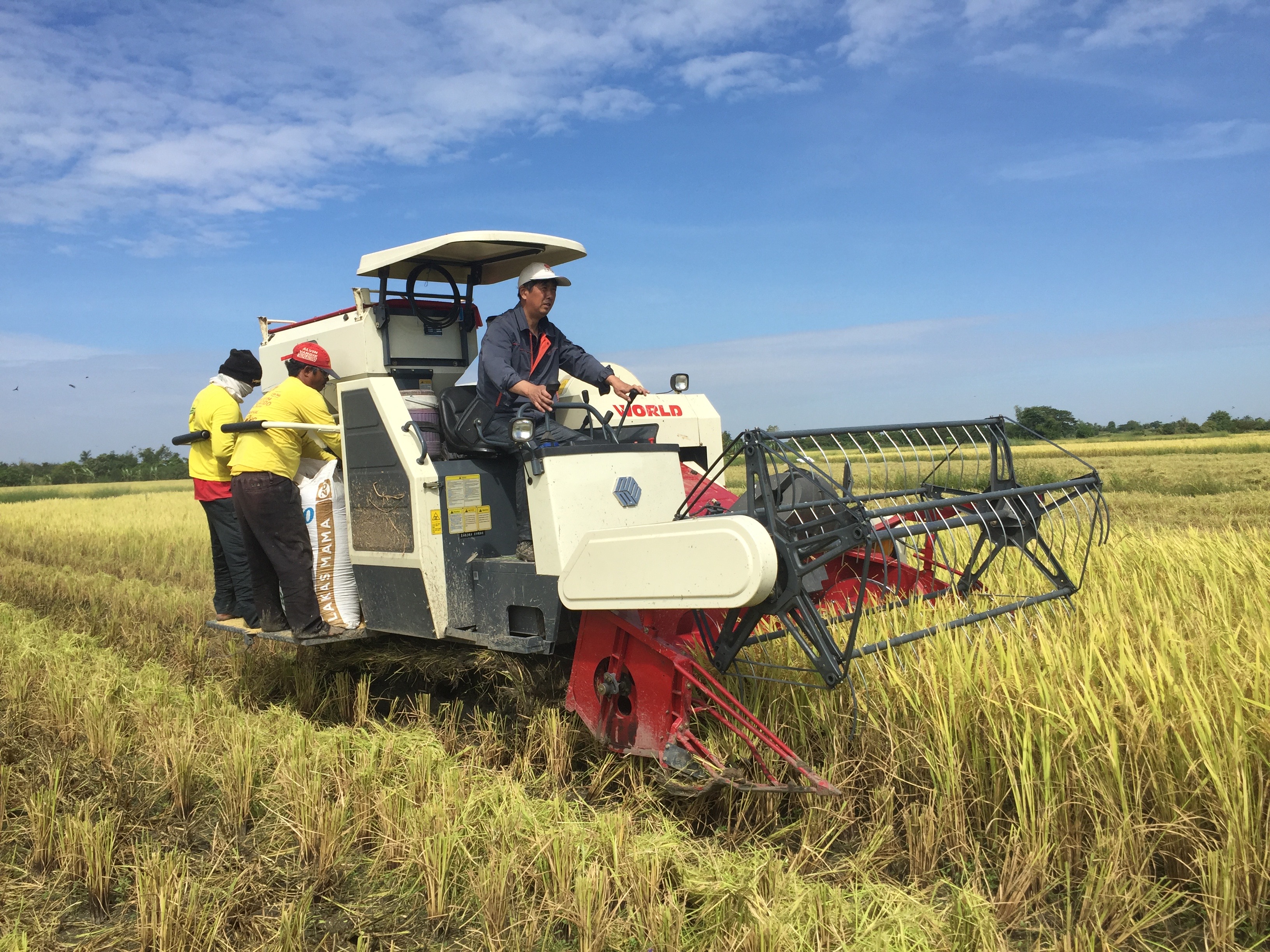 COMBINE HARVESTER