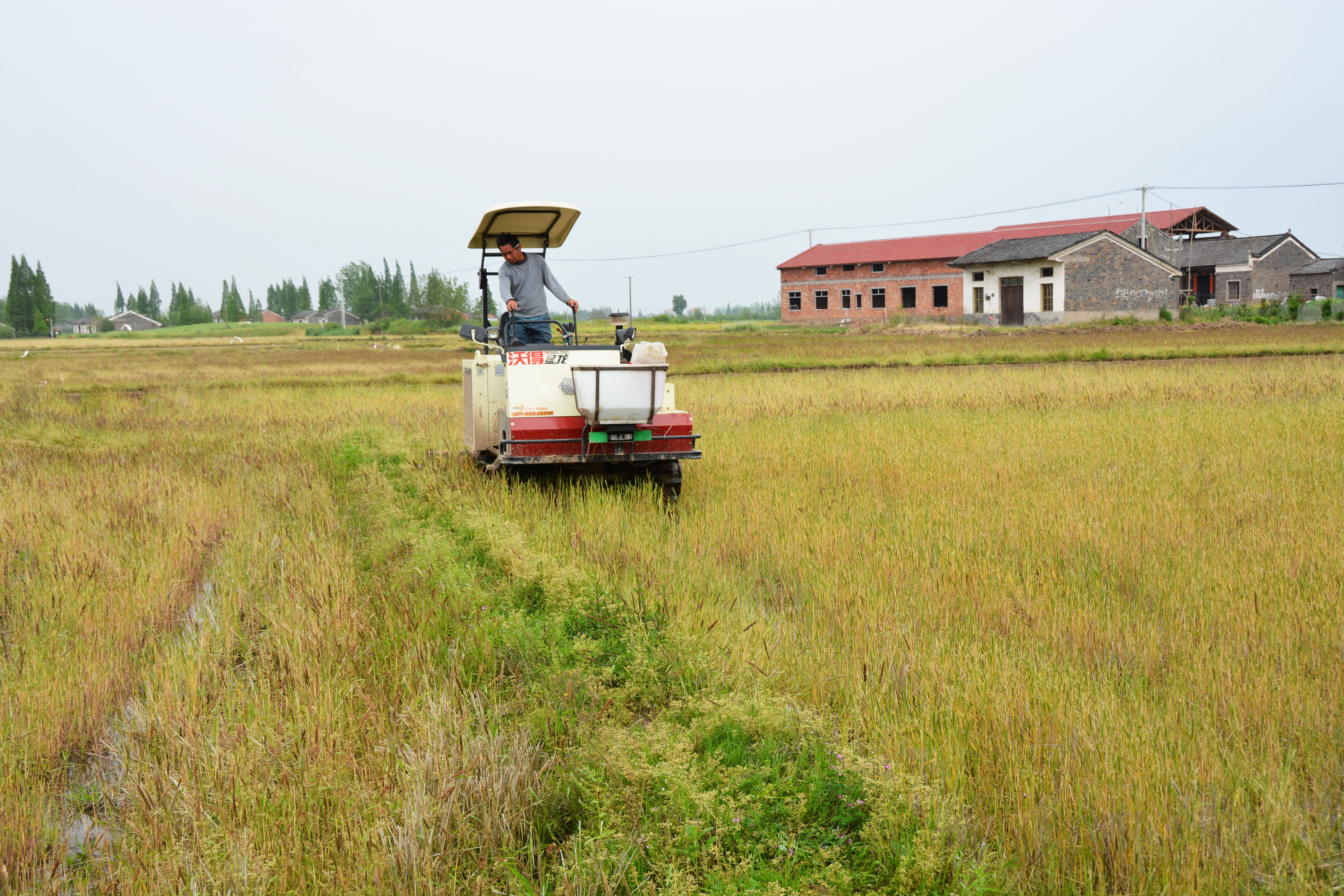 TRACTOR SERIES