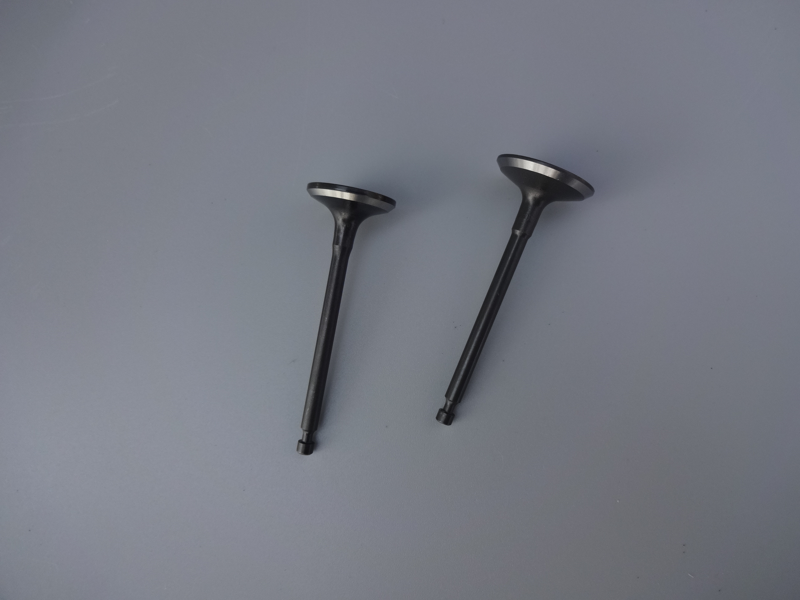 intake/exhaust valve