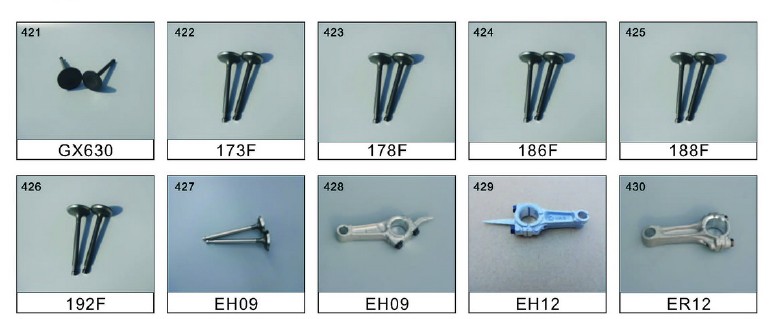 intake/exhaust valve