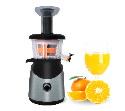 Slow juicer