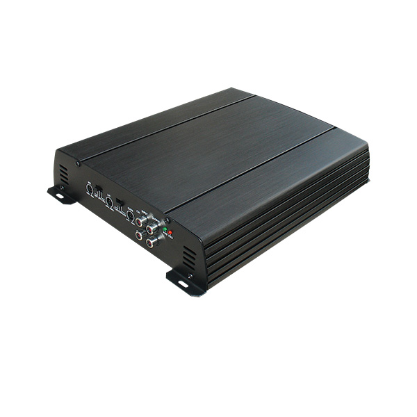 1-channel amplifier WS-D500.1 D