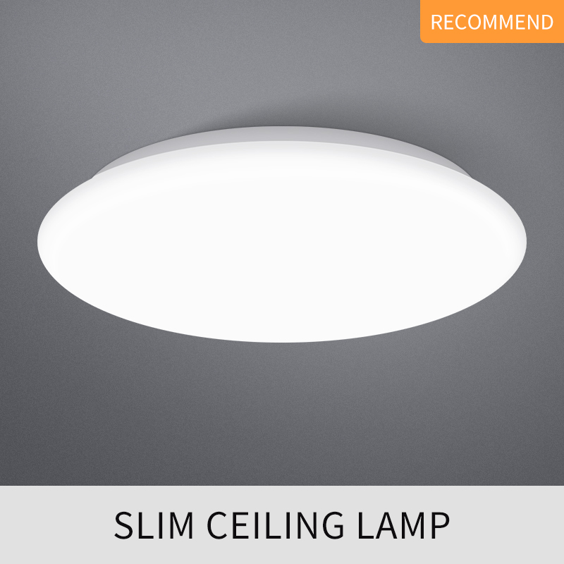 UITRA THIN CEILING LAMP