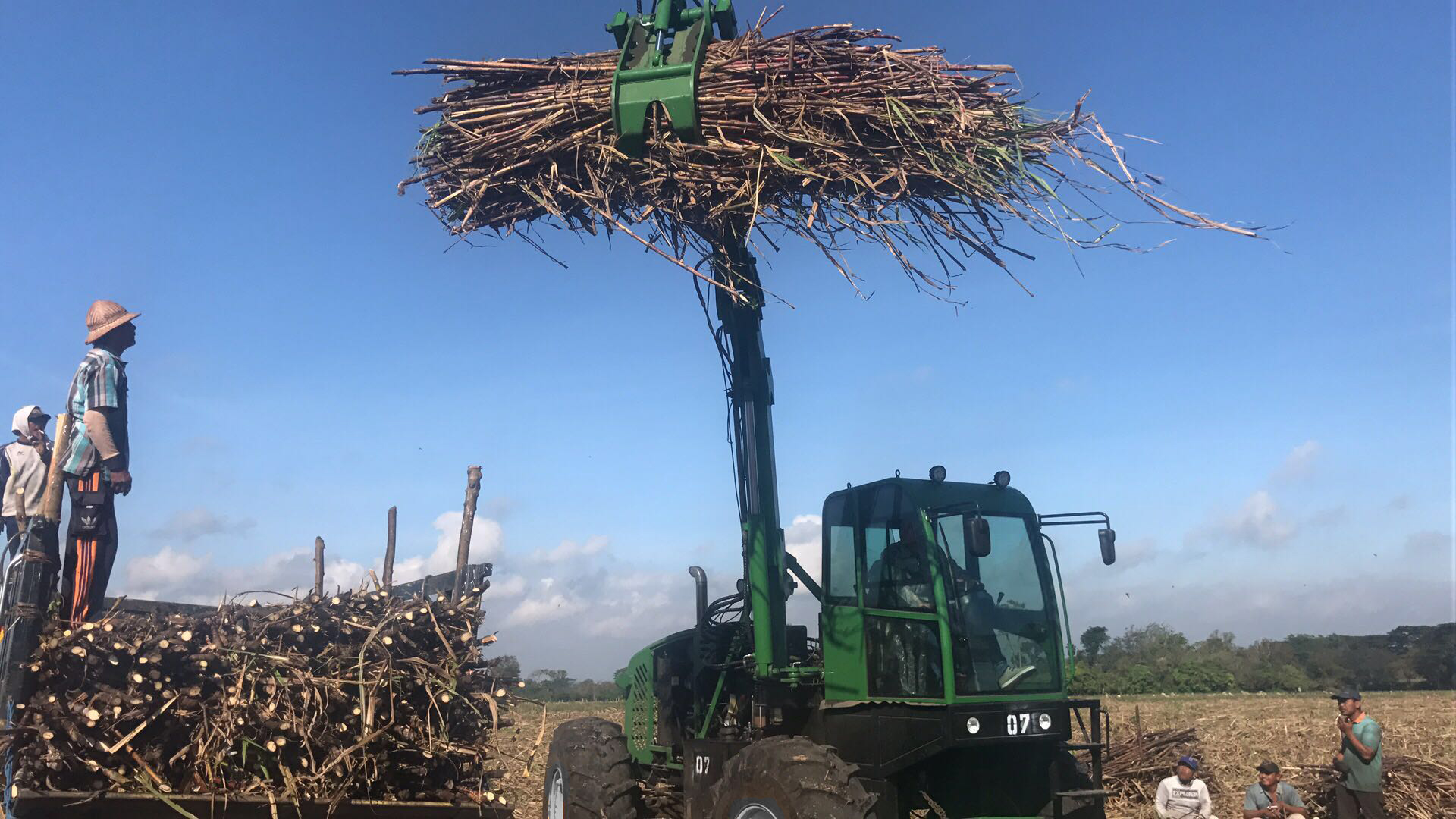 Sugarcane grab Loader