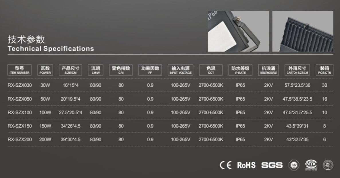 LED FLOOD LIGHT RC-GEMINI