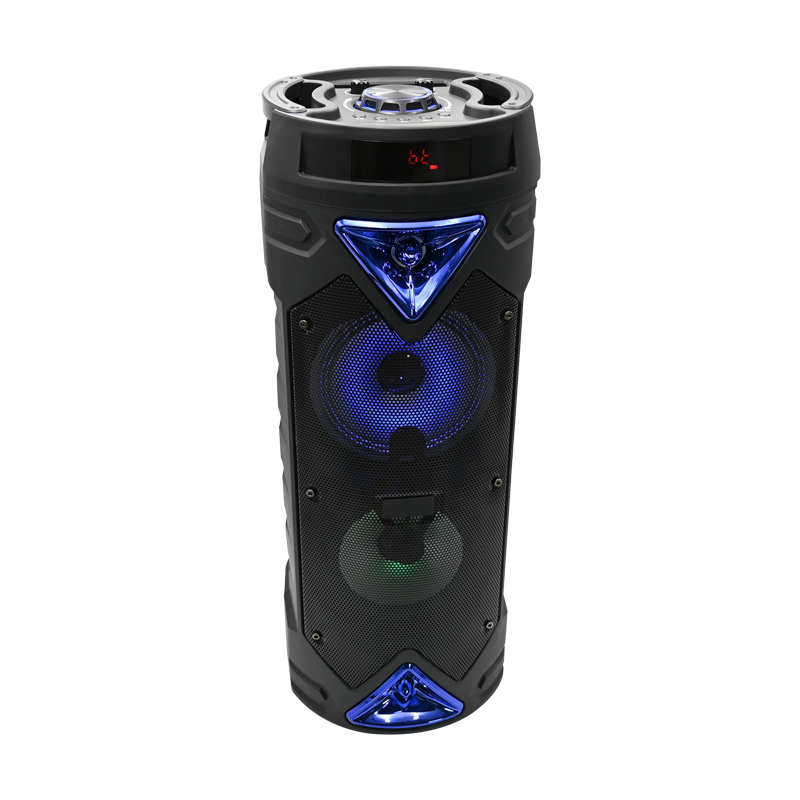 Portable wireless speaker