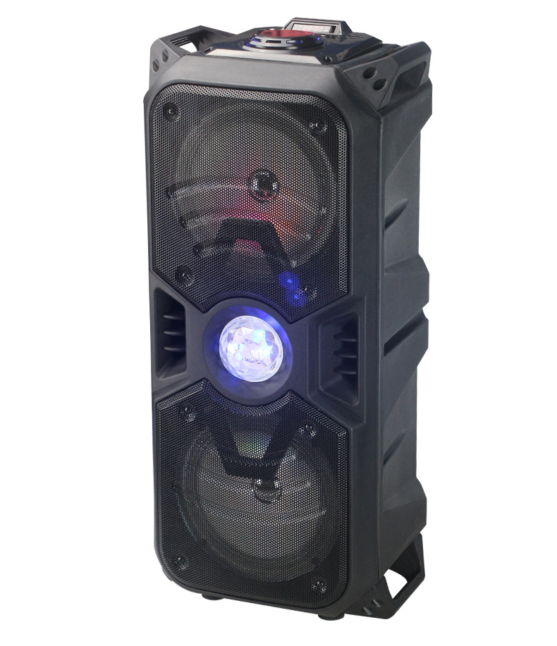 Double 6.5inch big voice disco bluetooth speaker