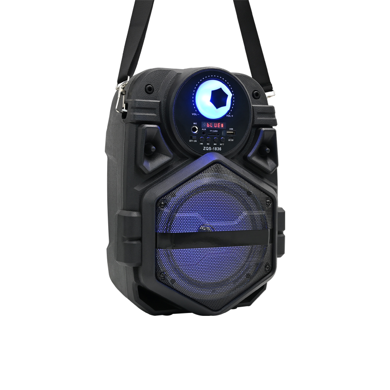 6.5inch portable DJ bt speaker