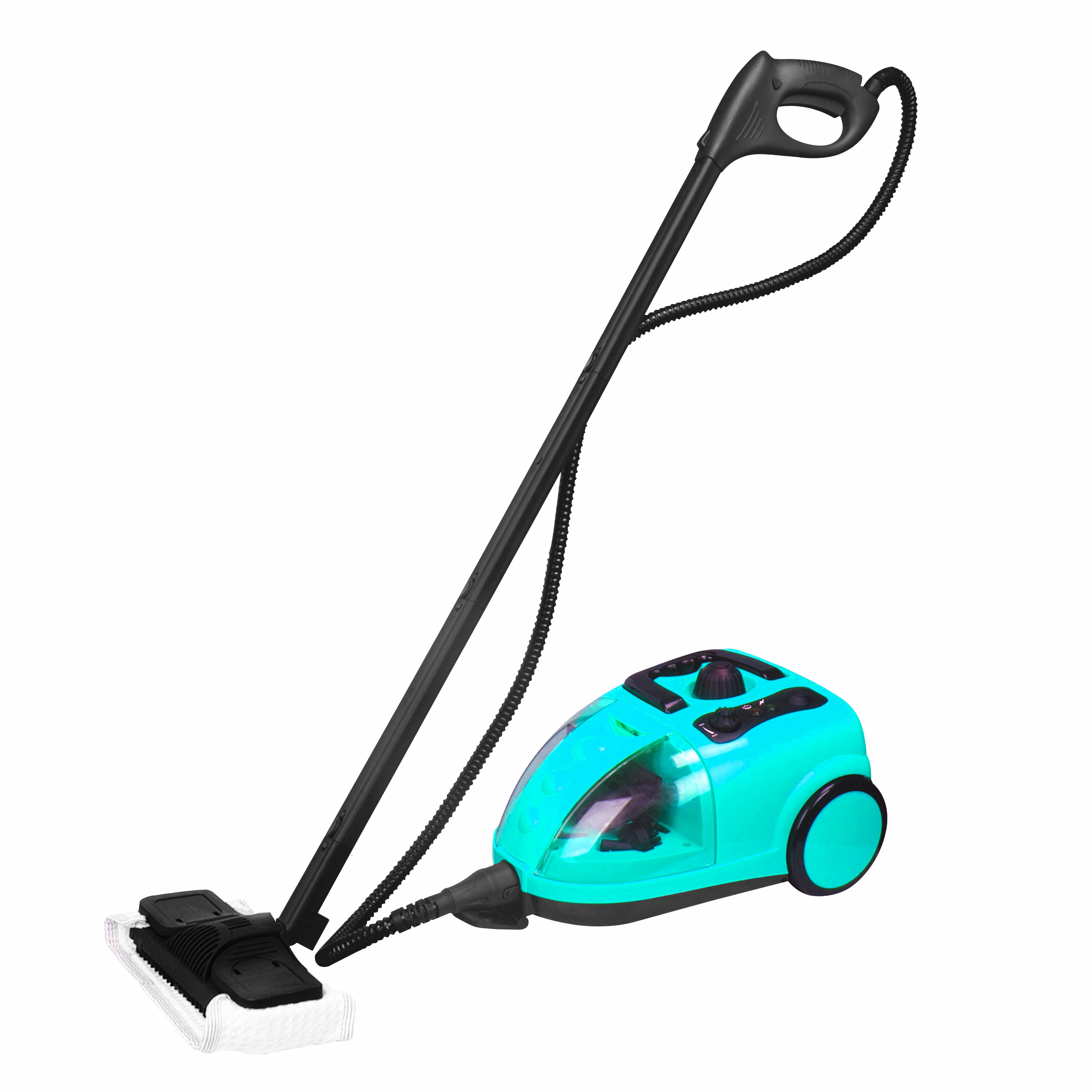 STEAM CLEANER