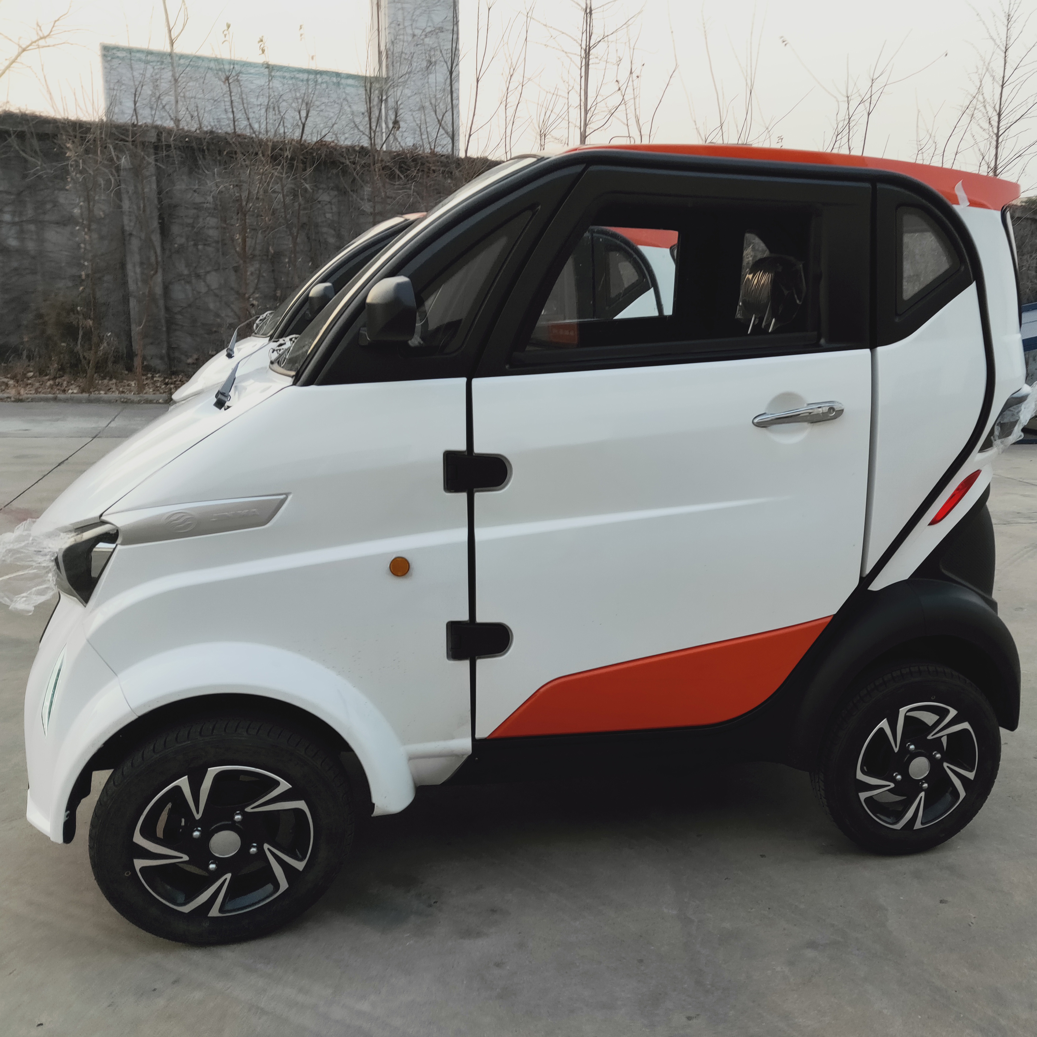 4-Wheel Electric Passenger Car