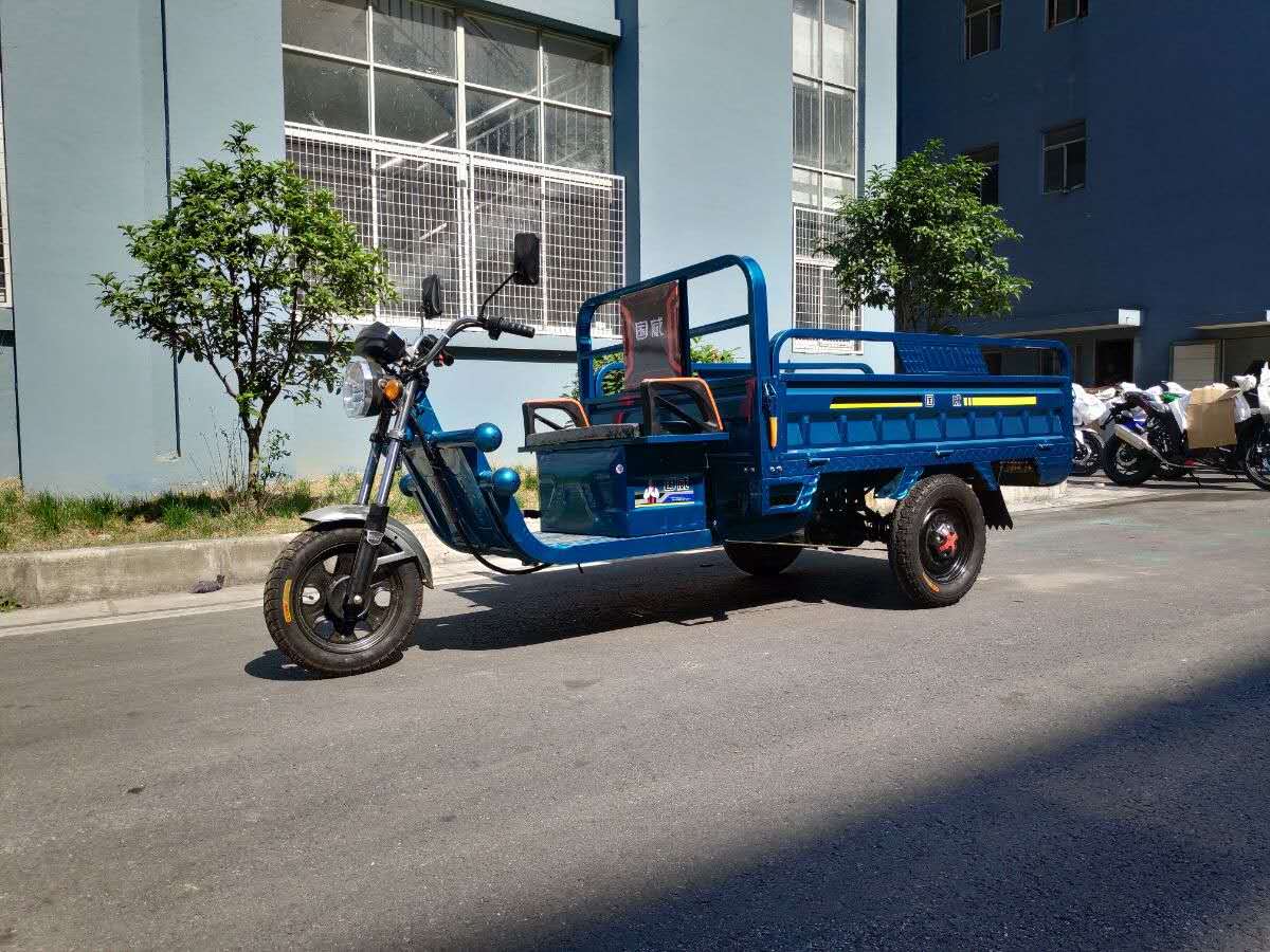 electric tricycle (GWSB-8)