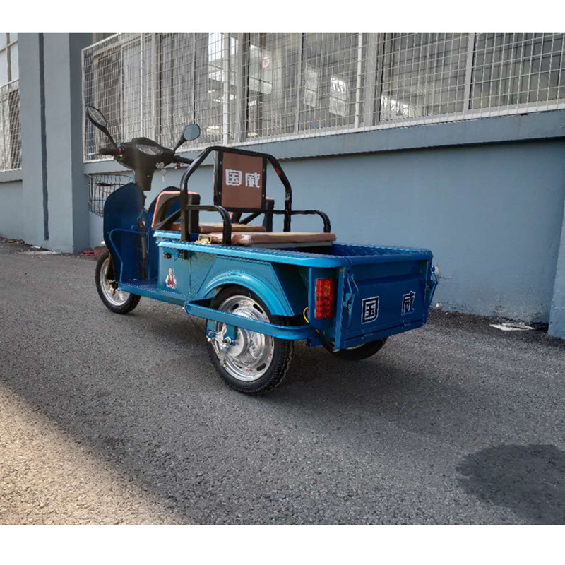 electric tricycle