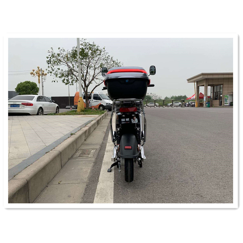 electric scooter(GWEM-RZ2)
