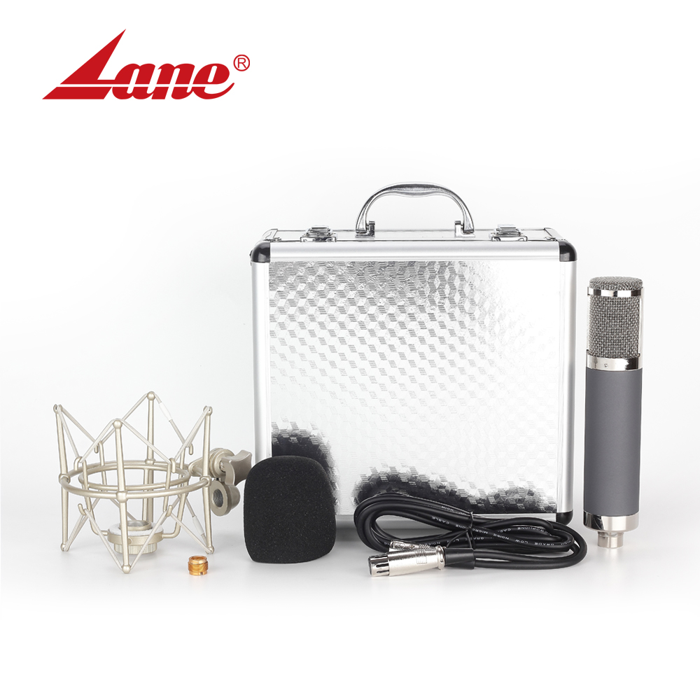 Professional Podcast Condenser Microphone BUM-2S