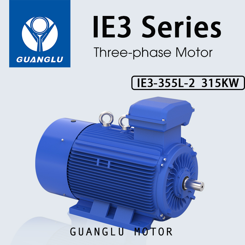 Three-Phase Asynchronous Motor IE3-355L-2 315kW