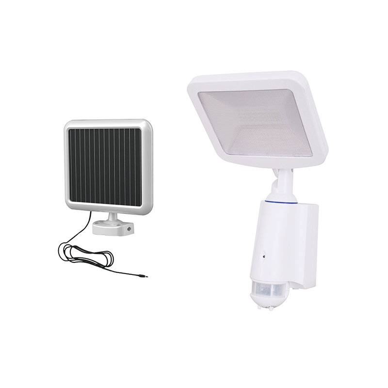 Solar Power Sensor Lamp