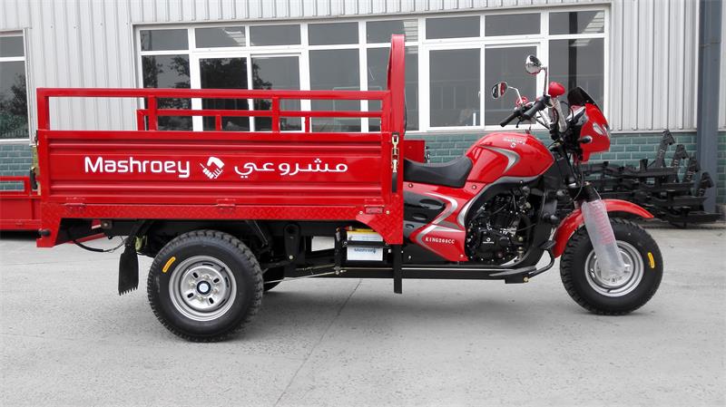 DB200ZH EEC APPROVAL CARGO MOTOR TRICYCLE