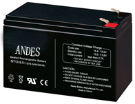 Valve Regulated Sealed Lead-Acid Battery