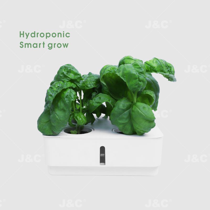 J&C hydroponic box budding box self watering planter visible water stage watering hole  with lid with budding lid  4 holes planting box  sustainable use