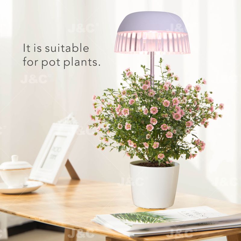 MG-TG-004 USB grow light USB charging  height adjustable  simple design  transparent skirt design  stylish light effect anti-glaring indoor decoration  big pot grow led