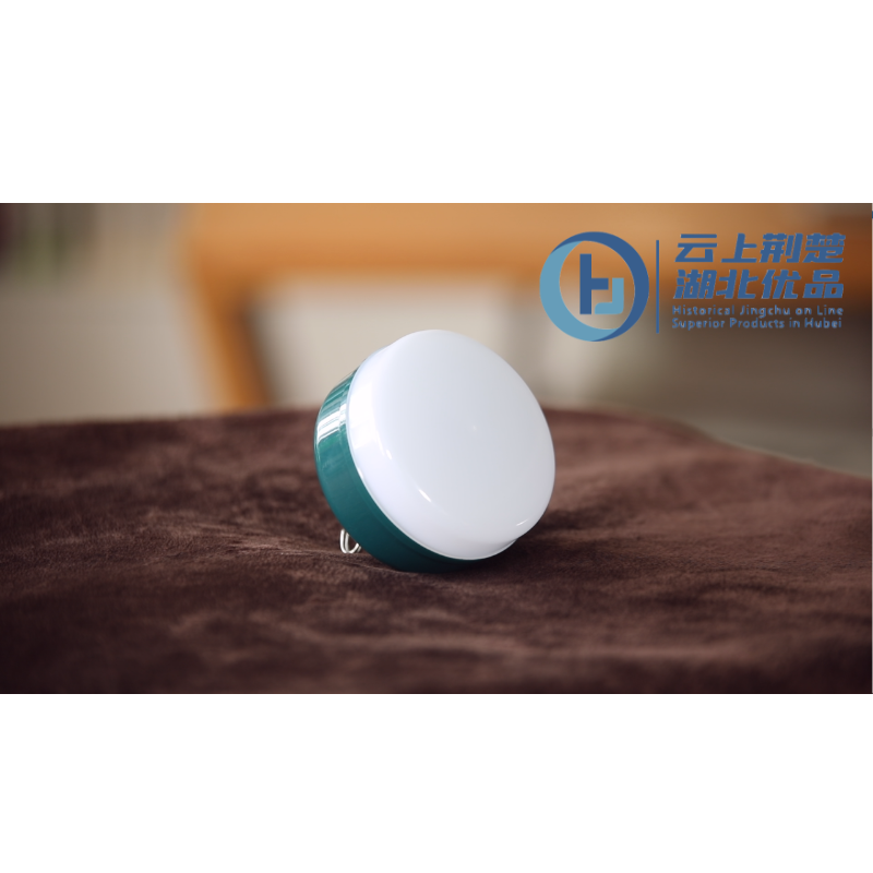 LED Magnetic suction lamp