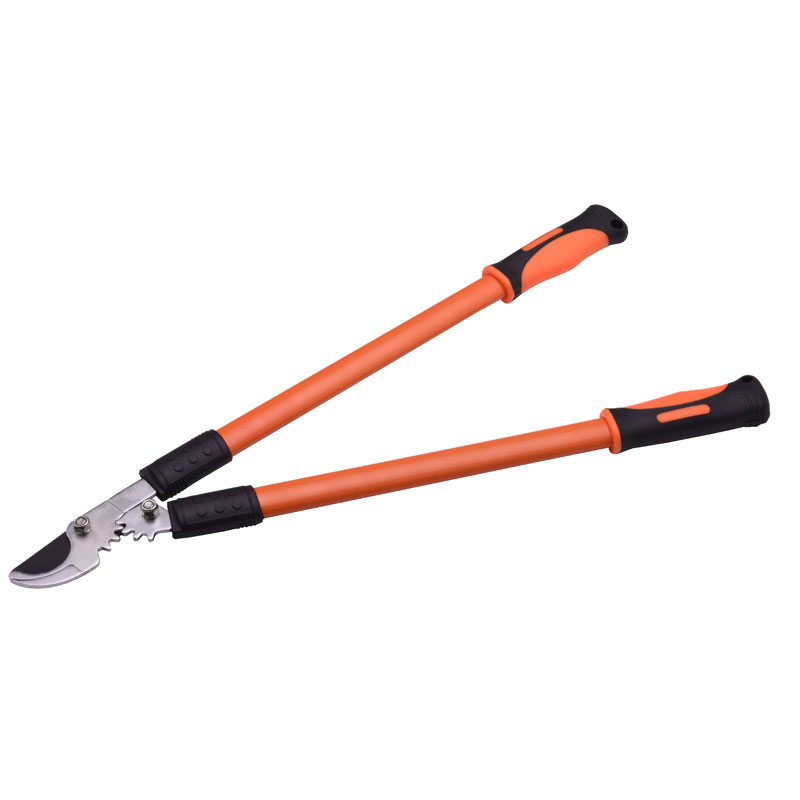 By-pass lopping Pruner