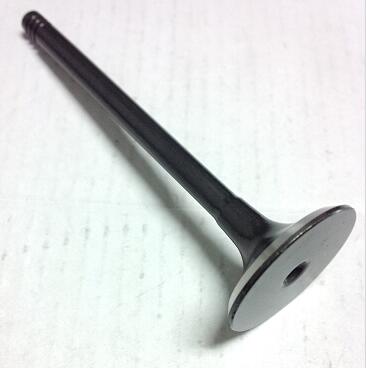 Intake Exhaust Valve