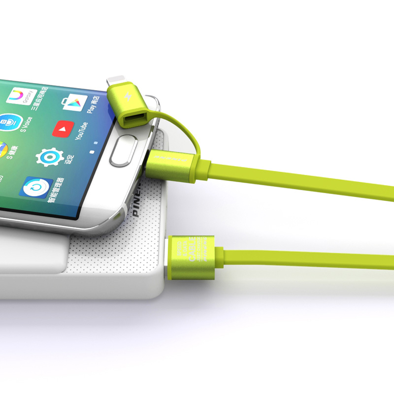 2 IN 1 USB DATA & CHARGING CABLE